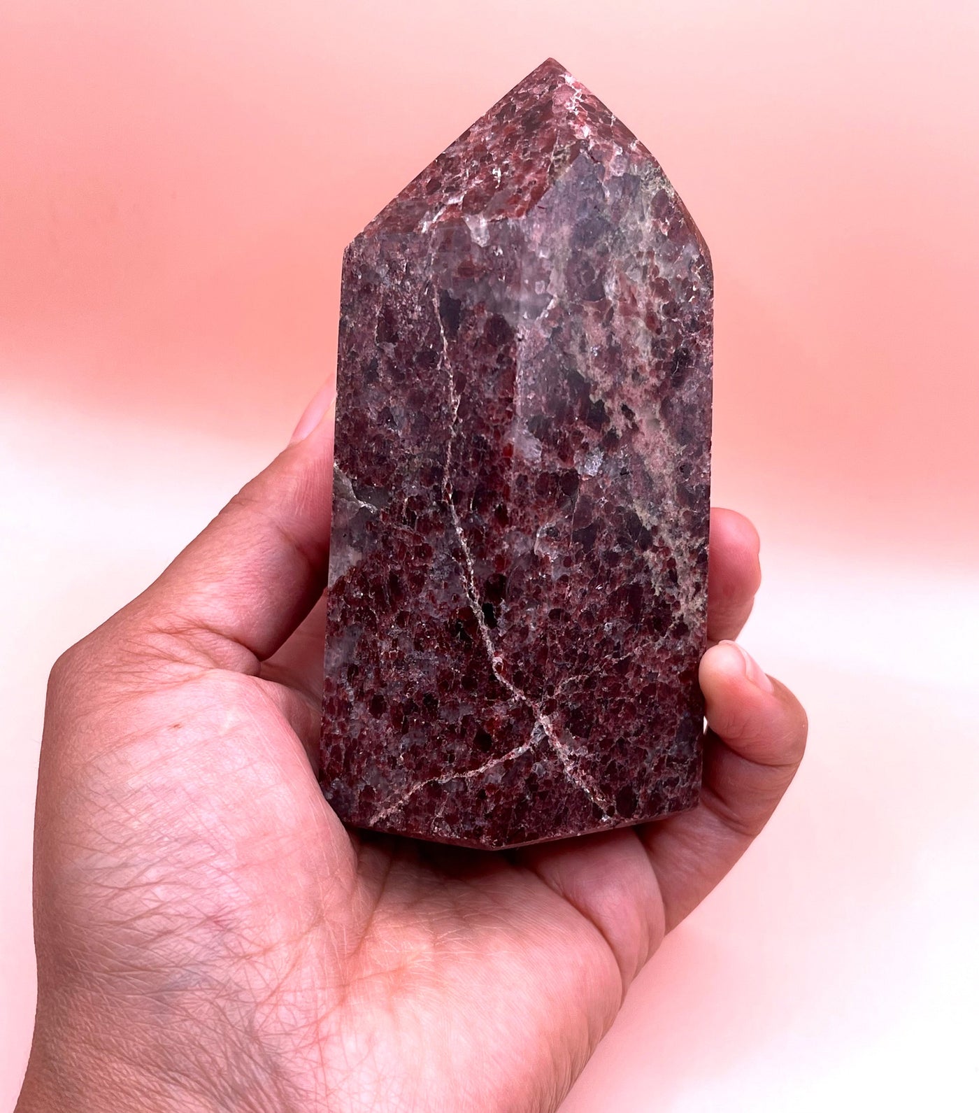 (A101) X-Large Garnet Point Crystals Energized with ReikiThe Spiritual Crystal Fairy