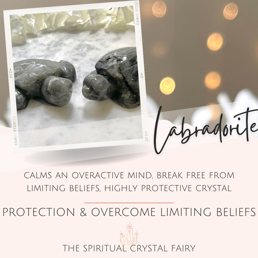Labradorite XX-Large Sea Turtles Reiki Energy Healing CrystalThe Spiritual Crystal Fairy