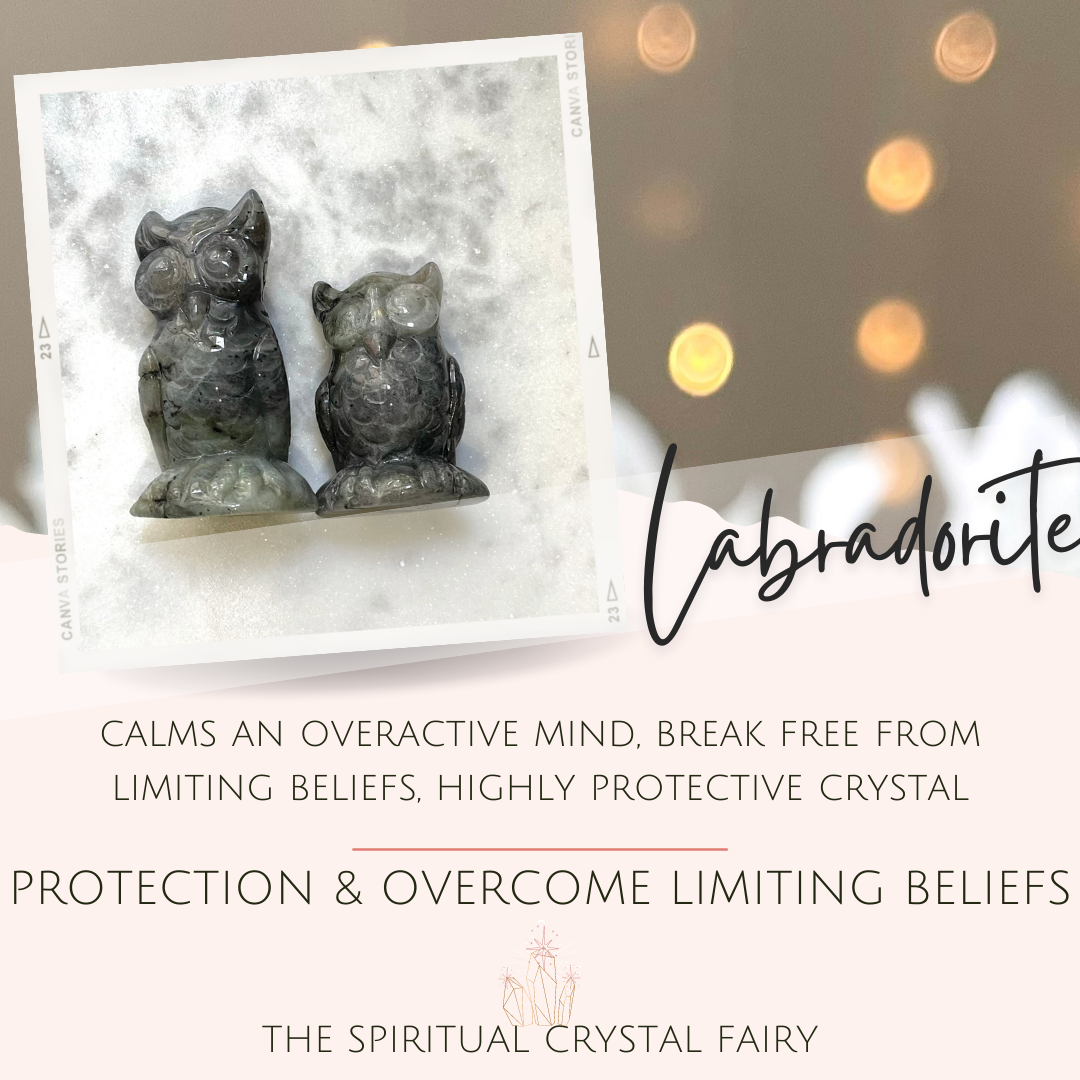 Labradorite Owls Duo Reiki Energy Healing CrystalThe Spiritual Crystal Fairy
