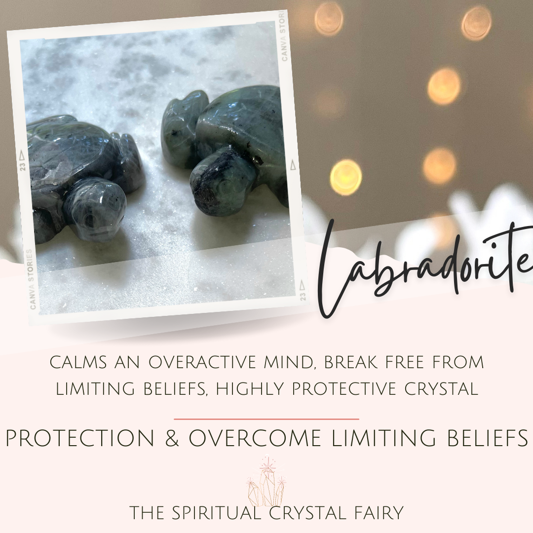 Labradorite Medium Turtles Reiki Energy Healing CrystalThe Spiritual Crystal Fairy